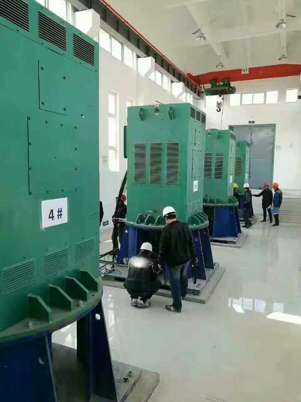 湘东某污水处理厂使用我厂的立式高压电机安装现场